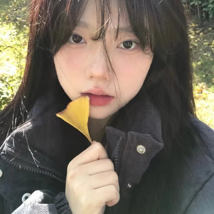 迎春花